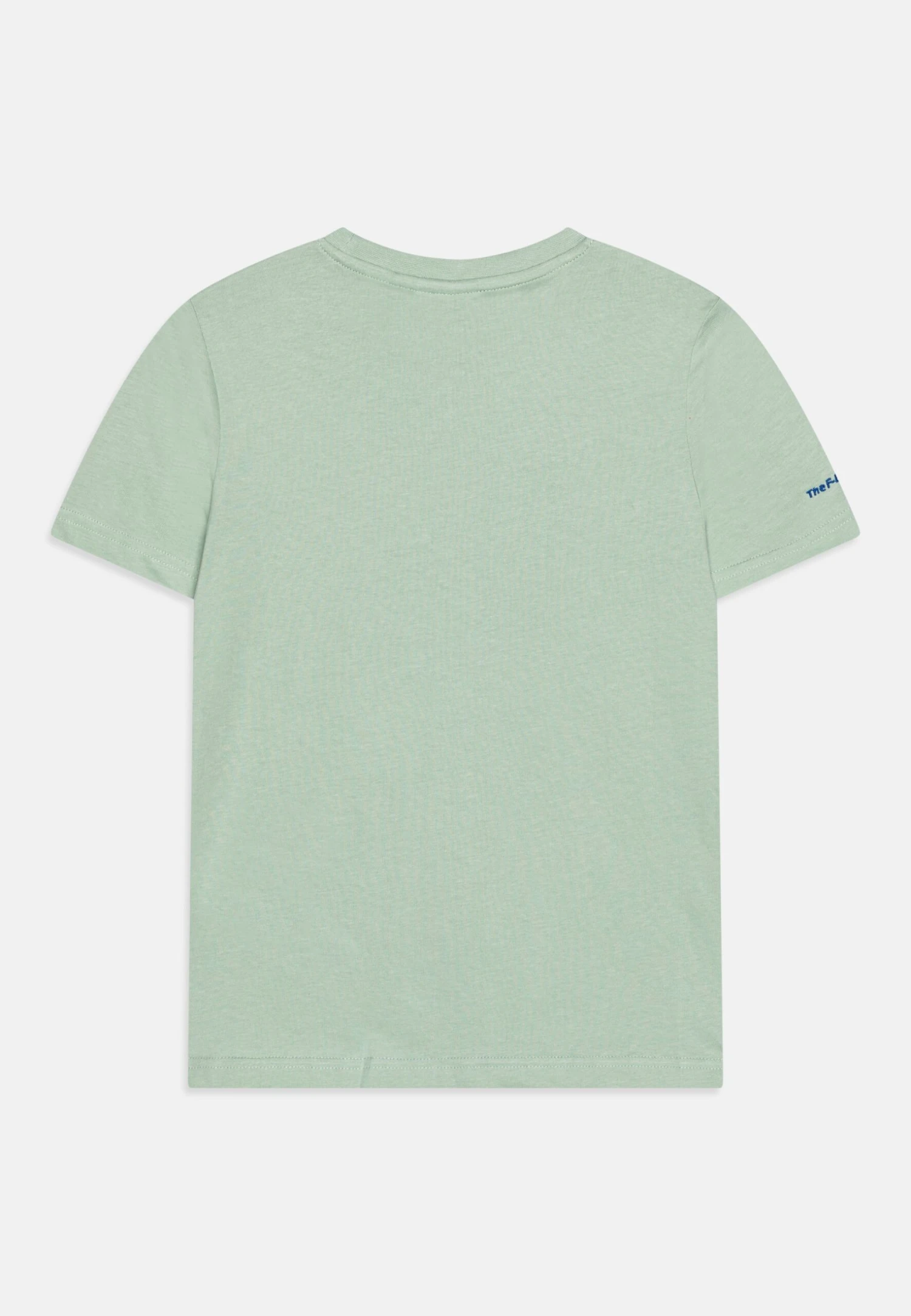 Fila Beesten Tee UnisexT-Shirt Con StampaSilt Green Bambini T-shirt & Top 1FI26G024-M11 2 Fila Beesten Tee UnisexT-Shirt Con StampaSilt Green Bambini T-shirt & Top 1FI26G024-M11 - immagine 2
