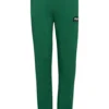 Fila Apparel Tulfes Pantaloni SportiviVerdant Green Bambini Pantaloni 1FI21A043-M11
