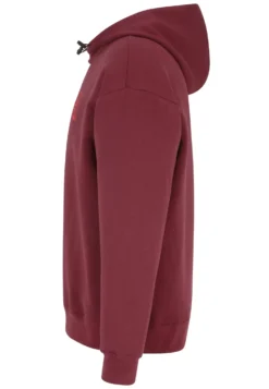 Fila Apparel TabrizFelpaTawny Port Uomo Maglieria E Felpe 1FI42G02V-G11 -Negozio al dettaglio Fila cfe36c65438e4d63a0e82e0df36c0efd scaled