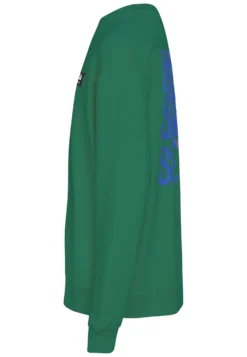 Fila Traventhal Crew Neck FelpaVerdant Green Bambini Pullover & Cardigan 1FI24K012-M11 -Negozio al dettaglio Fila e25ef99b151f4510b2c973dcc64b2d23 scaled